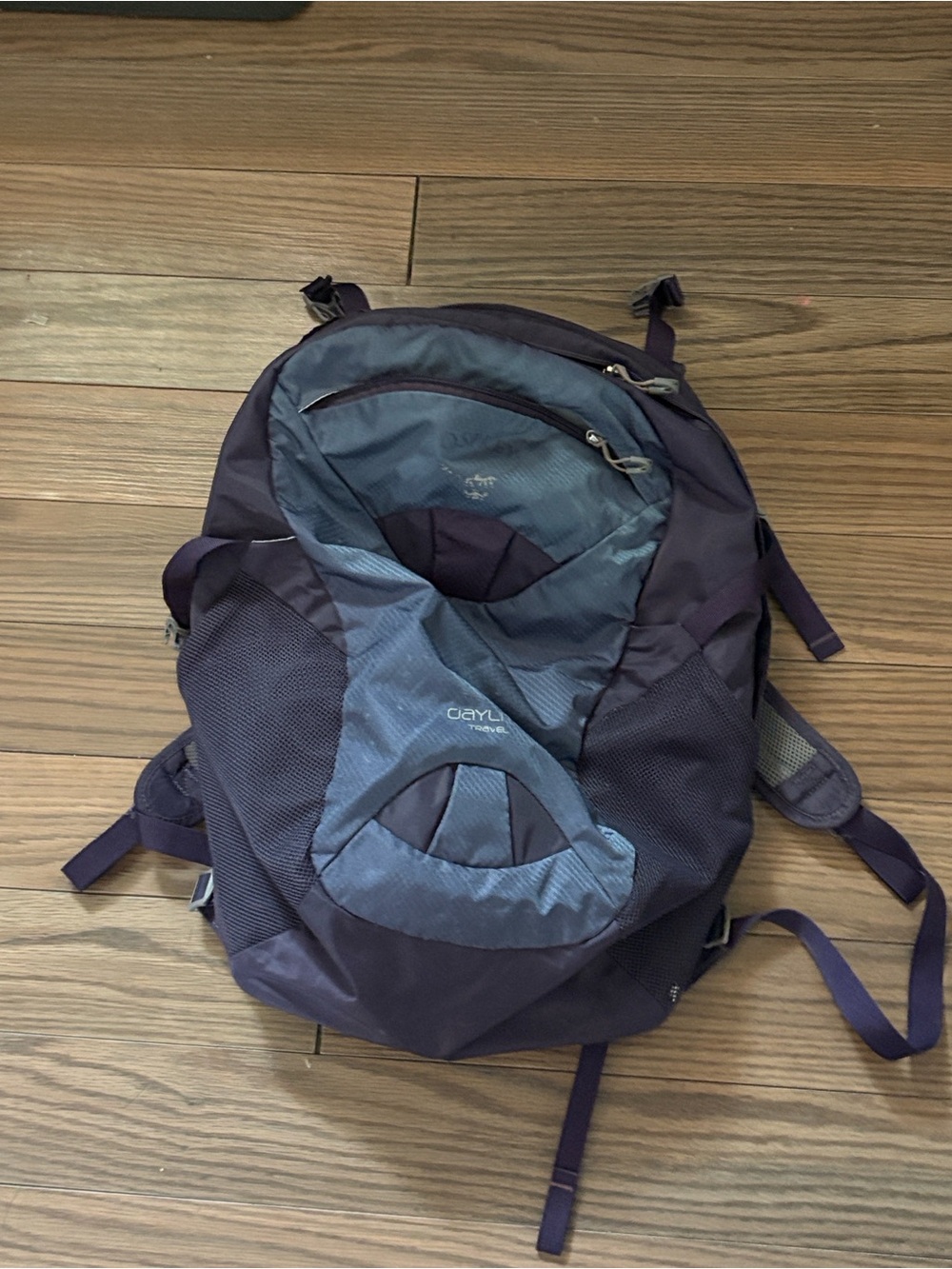 OSPREY Men's Backpack in Purple and Slate Blue